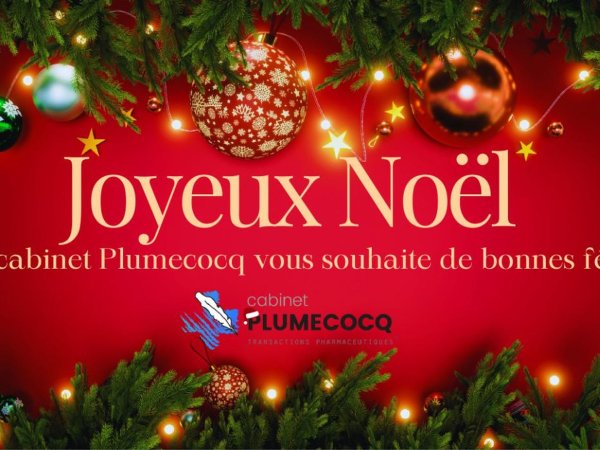 Joyeuses fêtes de fin d’année
